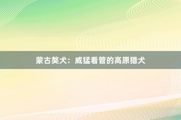 蒙古獒犬：威猛看管的高原猎犬
